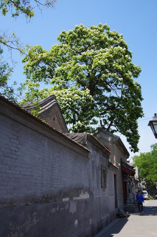 Songy Hundred-Year Courtyard Hotel Beijing Eksteriør bilde